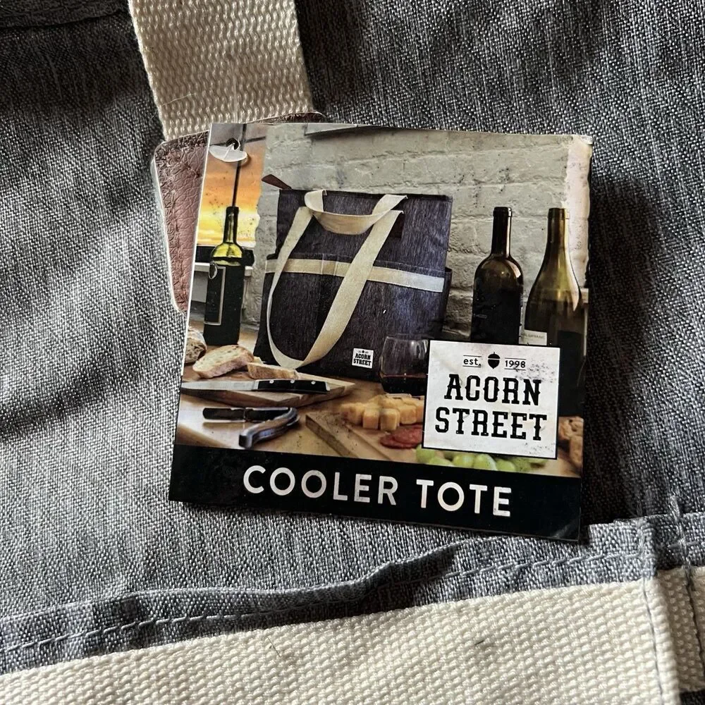 Acorn Street by Fit + Fresh Insulated Wine Cooler Tote, 6 Bottle Capacity, gray